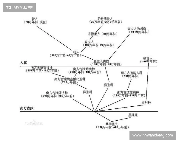 以弗雷泽的文化与宗教理论为基础探讨人类社会进化的路径与影响 以弗雷泽的文化与宗教理论为基础探讨人类社会进化的路径与影响
